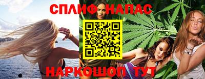 стаф Пенза