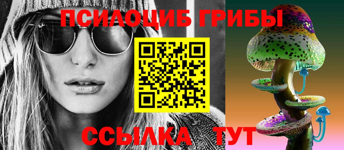 Псилоцибиновые грибы Psilocybe  Галлюциногенные грибы MAGIC MUSHROOMS  где купить наркоту  Ревда  Вход с VPN 