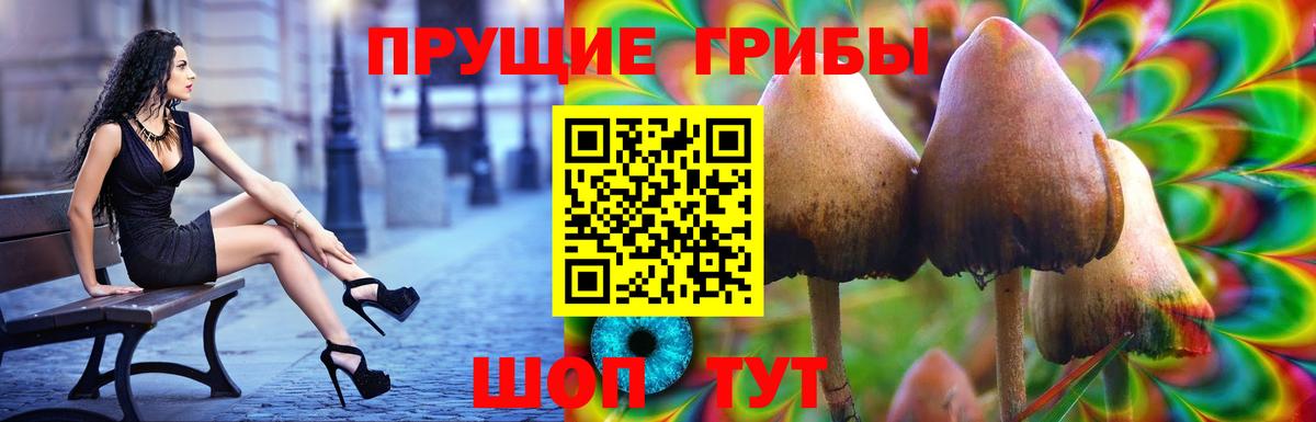Псилоцибиновые грибы Psilocybine cubensis Ревда